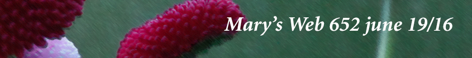 Mary's Web radio show